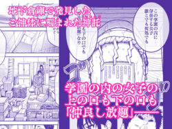 【FANZA同人紹介】 本校の全女子生徒の上の口と下の口は仲良し放題だって知ってるのは俺だけ？！