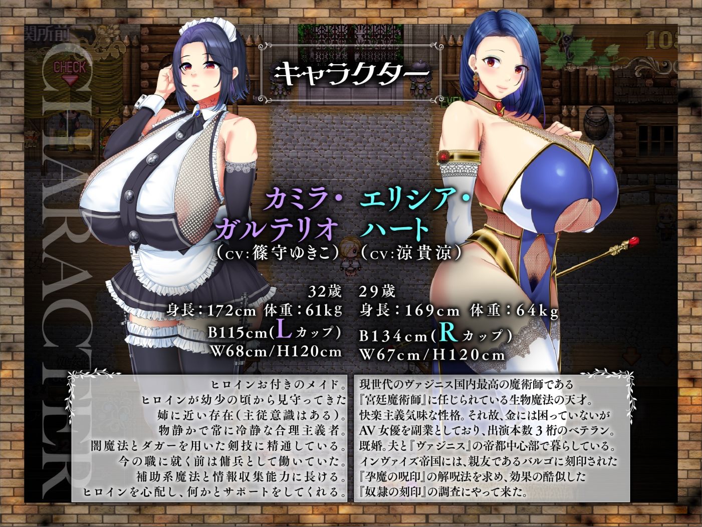 【FANZA同人紹介】 敗戦隷姫エルネア〜亡国の姫は侵略国家の共有奴●〜
