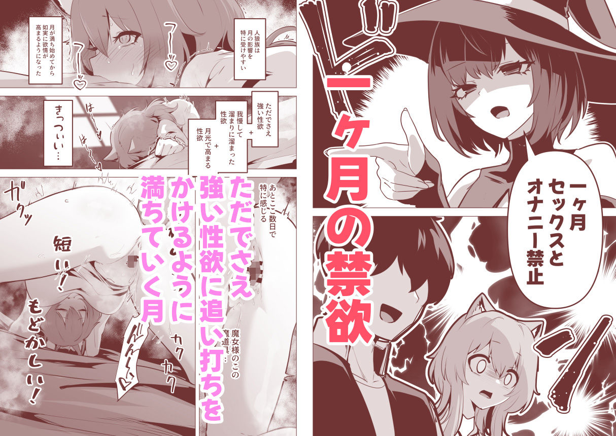 【FANZA同人紹介】 ホンネを聞かせて2