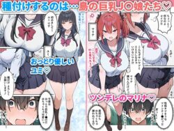 【FANZA同人紹介】 島えっち  巨乳だらけの秘島に種付け竿役としてアテンドされた話