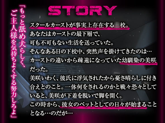 【FANZA同人紹介】 【罵倒】変態性奴○〜順転〜【アニメ版】
