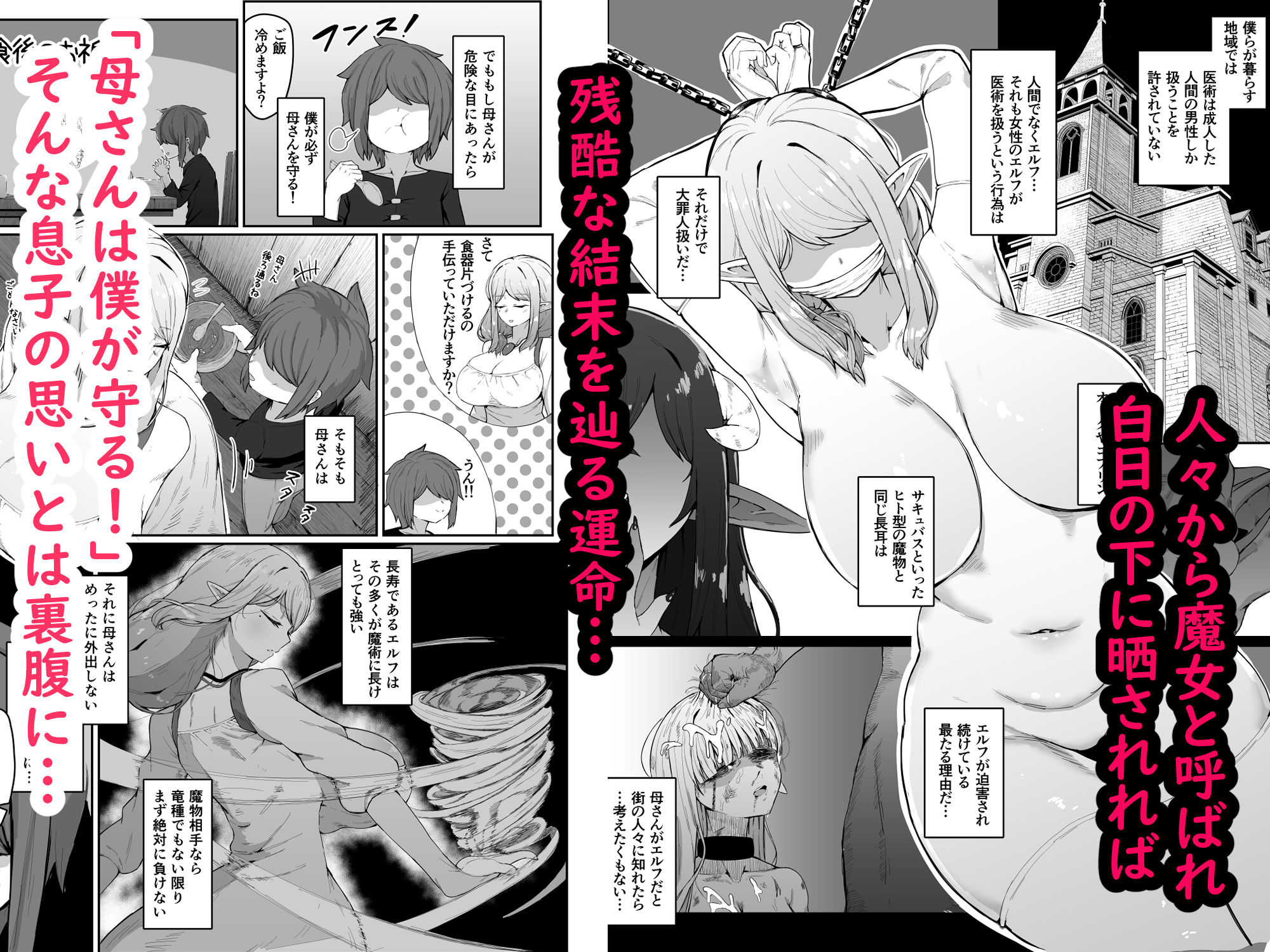 【FANZA同人紹介】 エルフの母と孕むまで