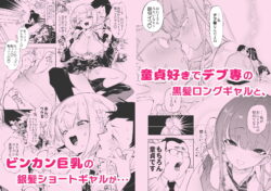 【FANZA同人紹介】 おにーさん、私達とお茶しませんかぁ？総集編1
