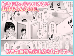 【FANZA同人紹介】 義理のお姉ちゃんとセックスする話