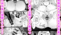 【FANZA同人紹介】 エルフに淫紋を付ける本 LEVEL:5〜8 総集編