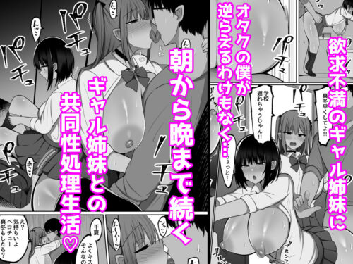 【FANZA同人紹介】 いきなりギャル姉妹〜親の再婚でデキたギャル姉妹にチンポ貸す話