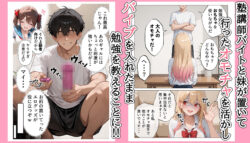 【FANZA同人紹介】 【続編:白ギャルJK2】ラブドール頼んだら、白ギャルJKが来た