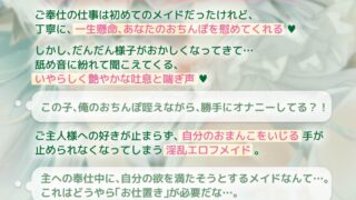 【FANZA同人紹介】 【ラブ堕ち】俺の愛しいエルフメイドがダウナーだけど好きバレ自爆しすぎな件