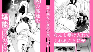 【FANZA同人紹介】 天使拾ったから孕ませる  〜おじさん専用ボテ腹オナホになるまでの記録〜