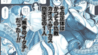 【FANZA同人紹介】 魔ママ狩リ2  元魔法少女のママ、悪堕ち触手交接
