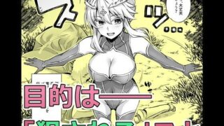 【FANZA同人紹介】 ゴブリンたちの雌になるまで ランサー・アルトリア編