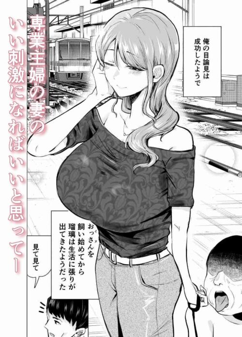 【FANZA同人紹介】 妻がおっさんに寝取られた話