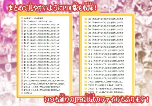 【FANZA同人紹介】 力あるサキュバスは性欲を満たしたいだけ-COMPLETE-