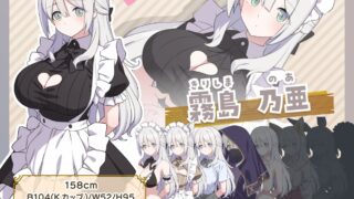 【FANZA同人紹介】 Hとメイドと無人島