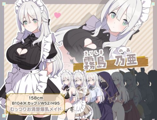【FANZA同人紹介】 Hとメイドと無人島