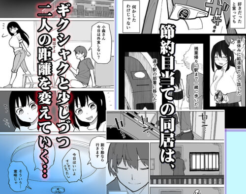【FANZA同人紹介】 家賃を半分にしただけ