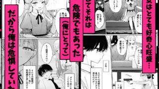 【FANZA同人紹介】 お嬢様はセックスをご所望です